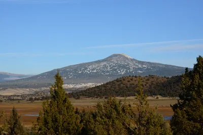 DSC_3040 (Large).JPG